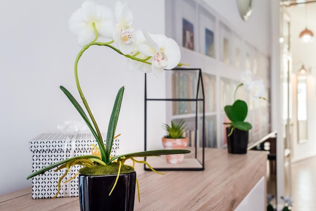 Bpr Purehome Apartment 布达佩斯 外观 照片